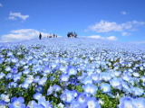 ひたち海浜公園